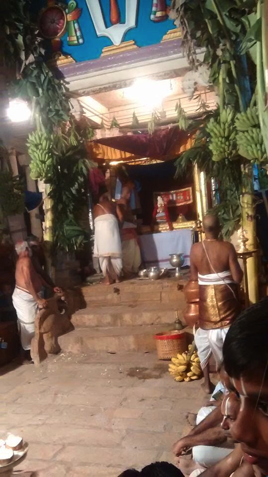 Azhwar_Thirunagari_Vaikasi_Utsavam_Day5_Swami_Nammazhwar_Thirumanjanam_04