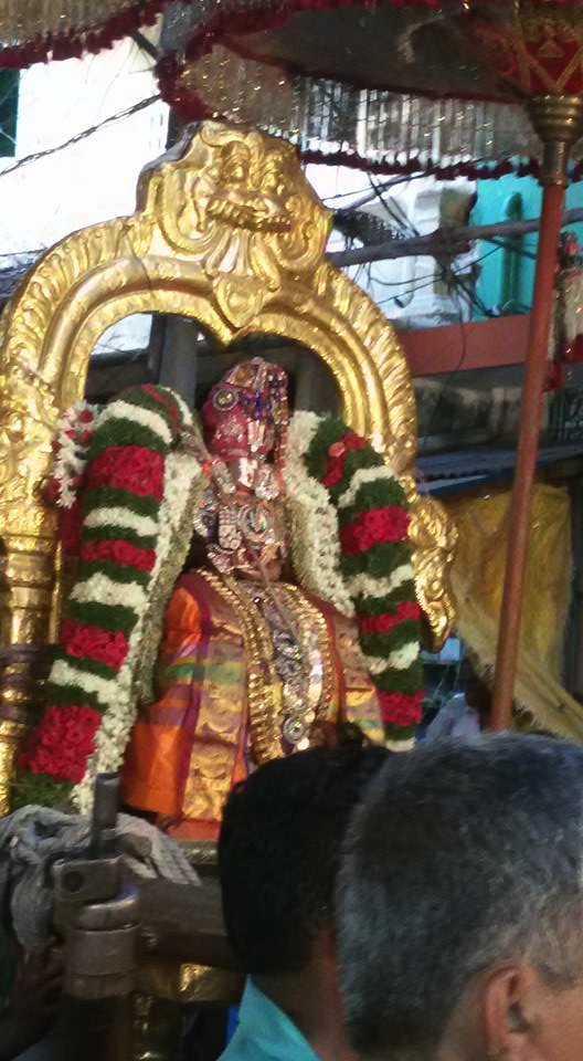 Govindarajaswamy_Temple_Vahana_01