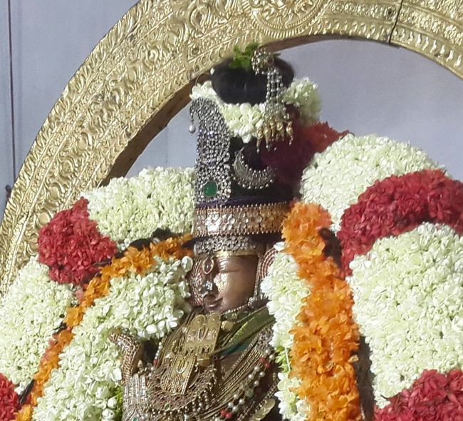 Kanchi-Sri-Devarajaswami5