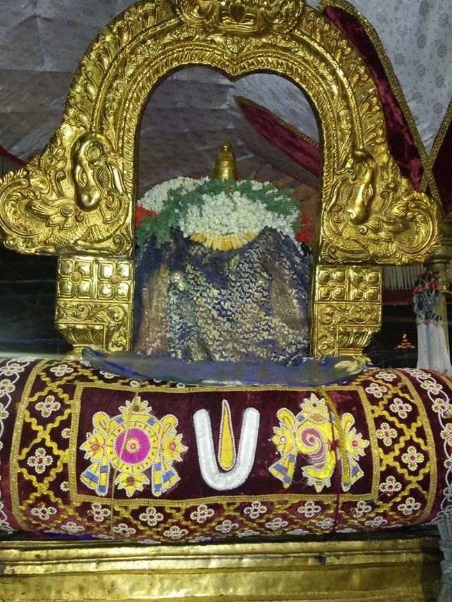Kanchi-Sri-Perundevi-Devaperumal3