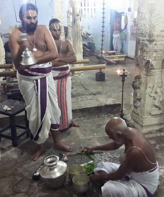 Kanchi-Sri-Varadaraja-Perumal14