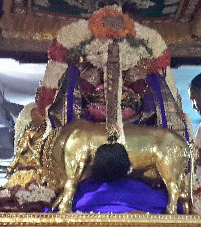 Kanchi-Sri-Varadaraja-Perumal16