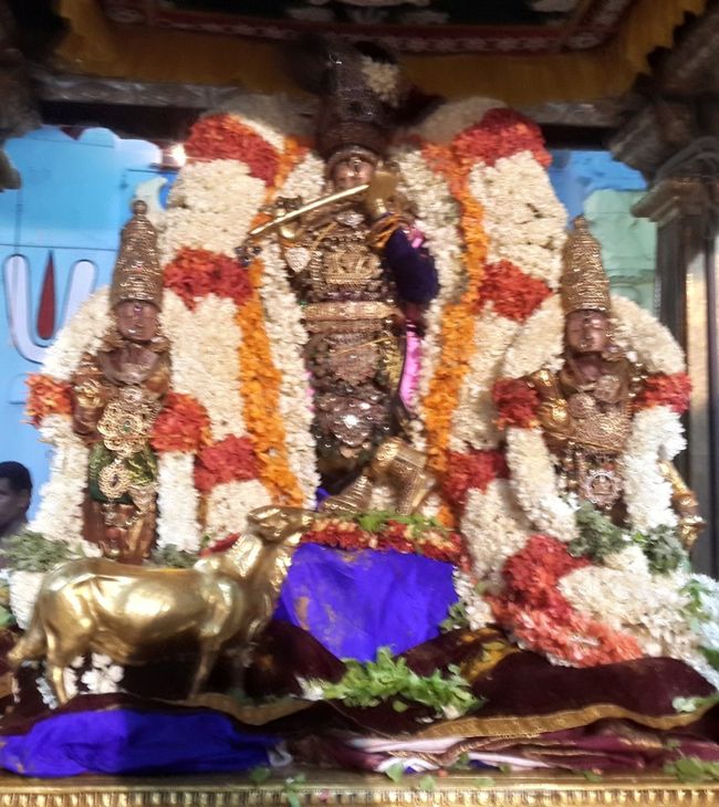 Kanchi-Sri-Varadaraja-Perumal4