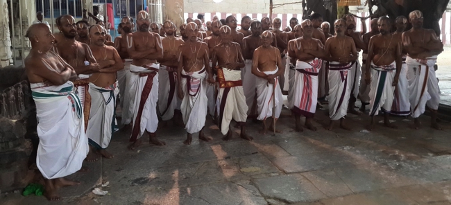 Kanchi_Sri_Varadaraja_Perumal_Temple_Day4_Morning_00