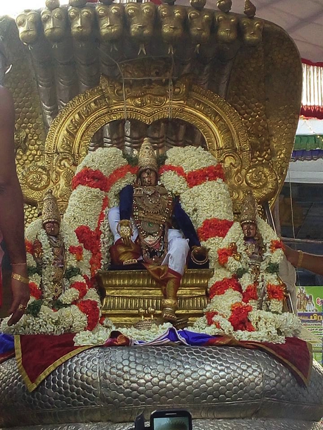 Kanchi_Sri_Varadaraja_Perumal_Temple_Day4_Morning_08