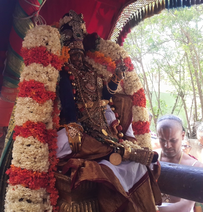 Kanchi_Sri_Varadaraja_Perumal_Temple_Day5_03