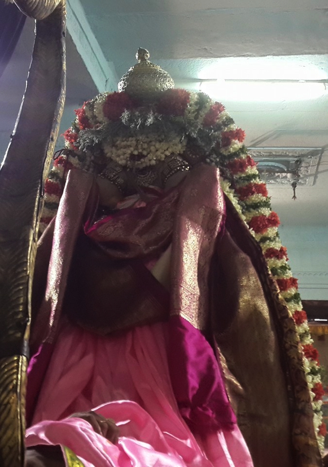 Kanchi_Sri_Varadaraja_Perumal_Temple_Day5_08