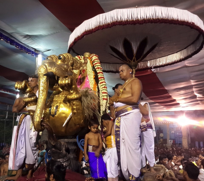 Kanchi_Sri_Varadaraja_Perumal_Temple_Day5_10