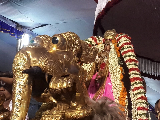 Kanchi_Sri_Varadaraja_Perumal_Temple_Day5_16