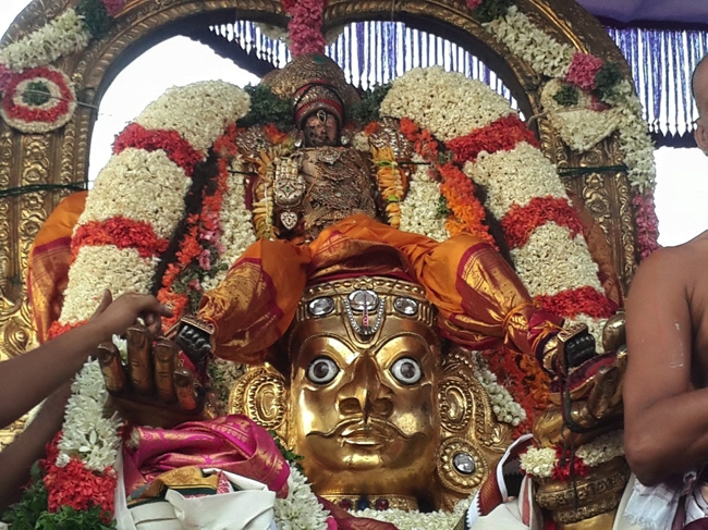 Kanchi_Varadaraja_Perumal_Temple_Day3_Garuda Sevai_10