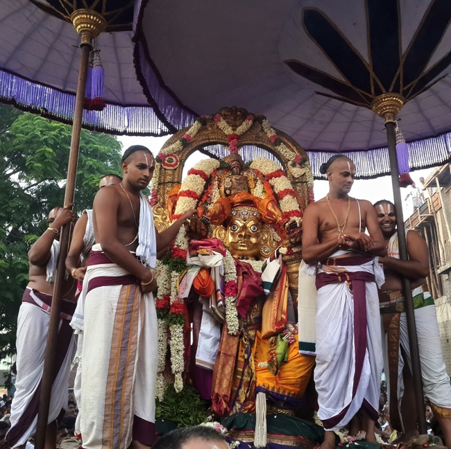 Kanchi_Varadaraja_Perumal_Temple_Day3_Garuda Sevai_12