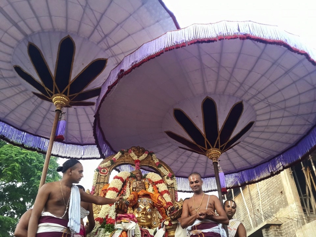 Kanchi_Varadaraja_Perumal_Temple_Day3_Garuda Sevai_14