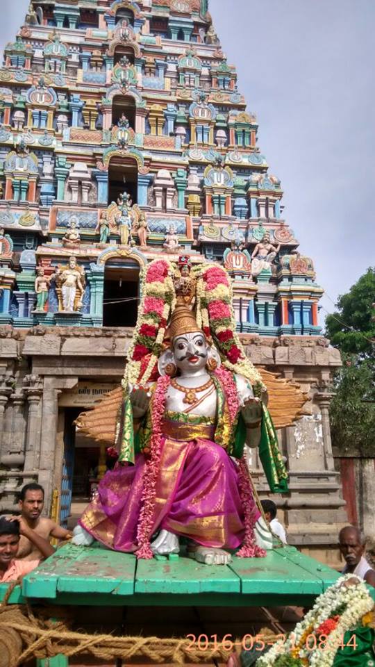 Kattumannarkovil-Swami-Namazhwar-Thirunakshatram
