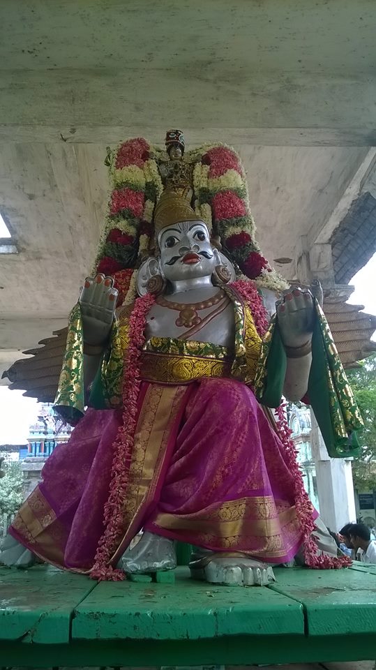 Kattumannarkovil-Swami-Namazhwar-Thirunakshatram1