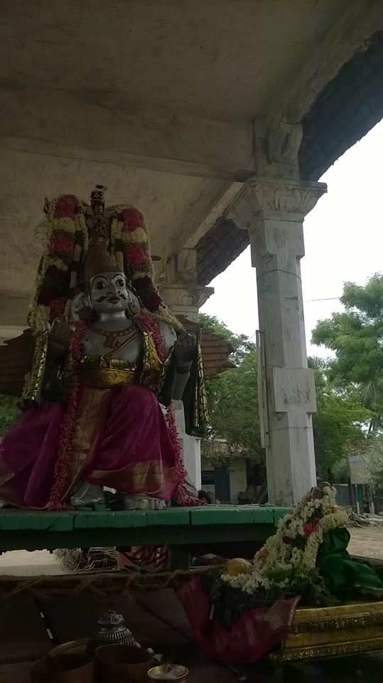 Kattumannarkovil-Swami-Namazhwar-Thirunakshatram11