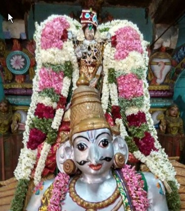 Kattumannarkovil-Swami-Namazhwar-Thirunakshatram12