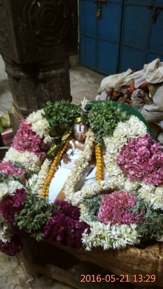 Kattumannarkovil-Swami-Namazhwar-Thirunakshatram3
