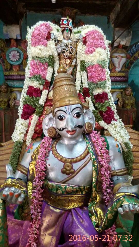 Kattumannarkovil-Swami-Namazhwar-Thirunakshatram4