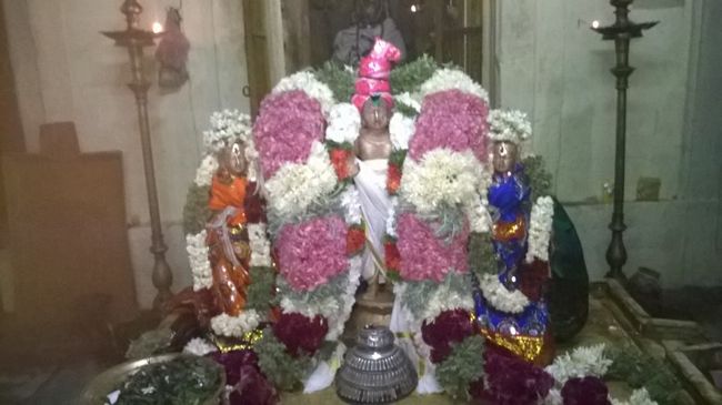 Kattumannarkovil-Swami-Namazhwar-Thirunakshatram7