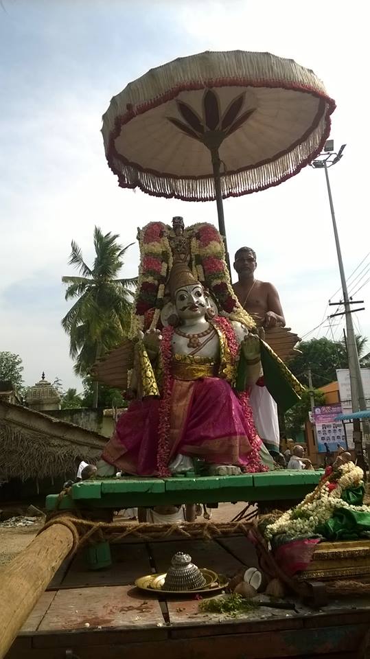Kattumannarkovil-Swami-Namazhwar-Thirunakshatram8