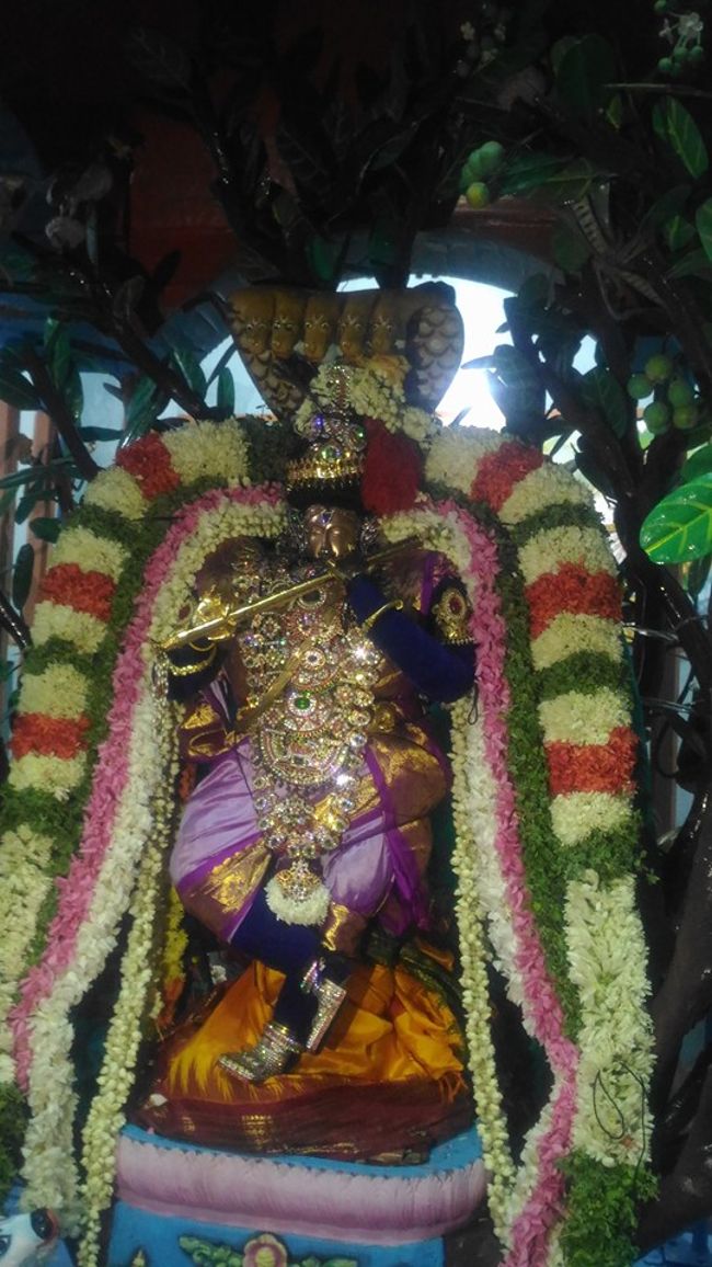 Mylapore-Sri-Madhava-Perumal1