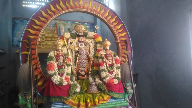 Mylapore-Sri-Madhava-Perumal13