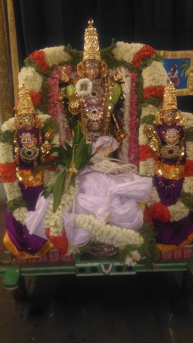 Mylapore-Sri-Madhava-Perumal17