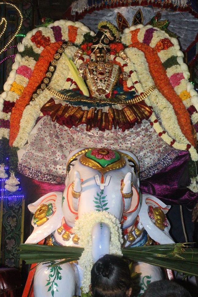 Pondicherry-Sri-Srinivasa-Perumal1