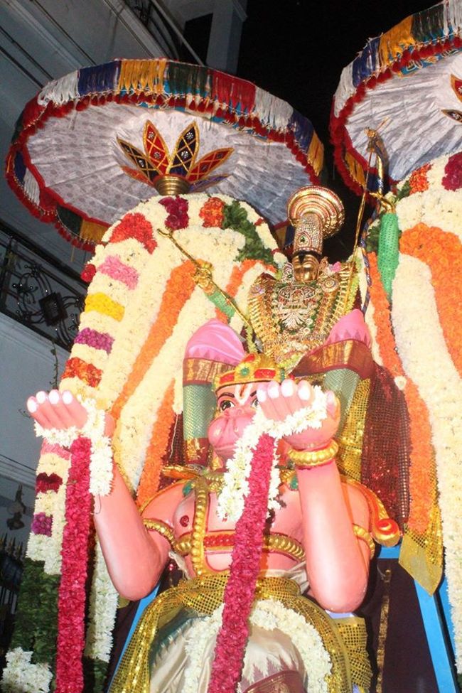 Pondicherry-Sri-Srinivasa-Perumal12