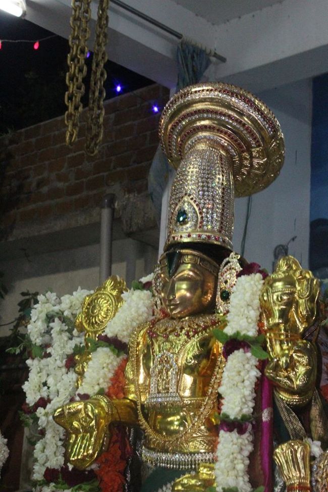 Pondicherry-Sri-Srinivasa-Perumal12