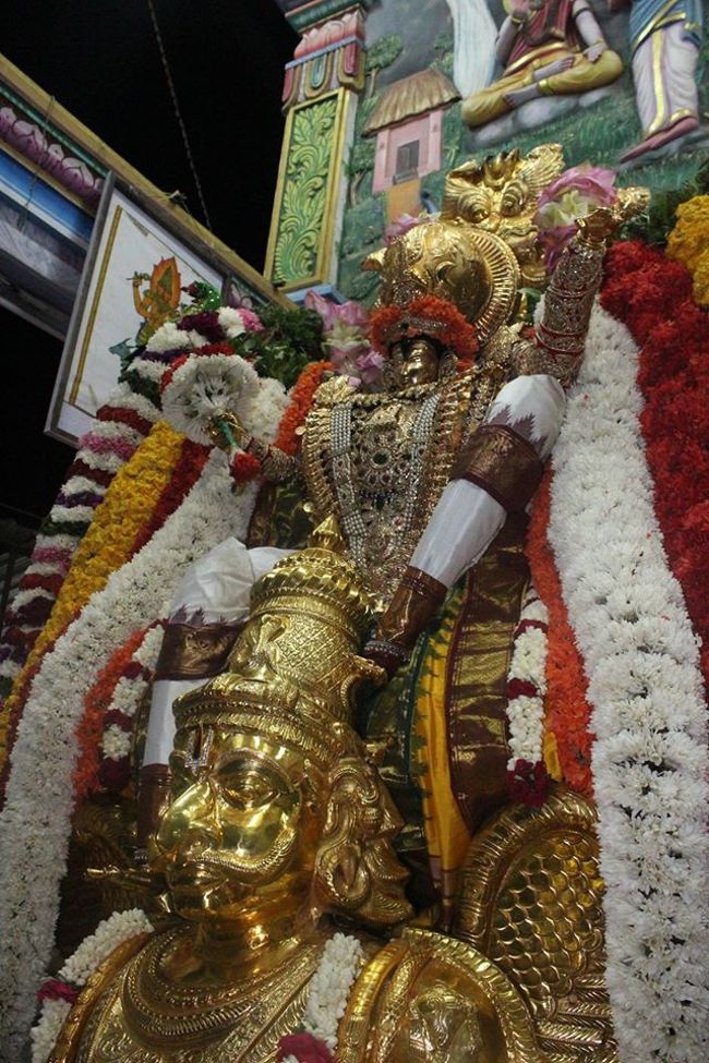 Pondicherry-Sri-Srinivasa-Perumal14
