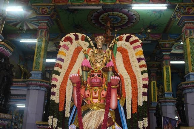 Pondicherry-Sri-Srinivasa-Perumal16