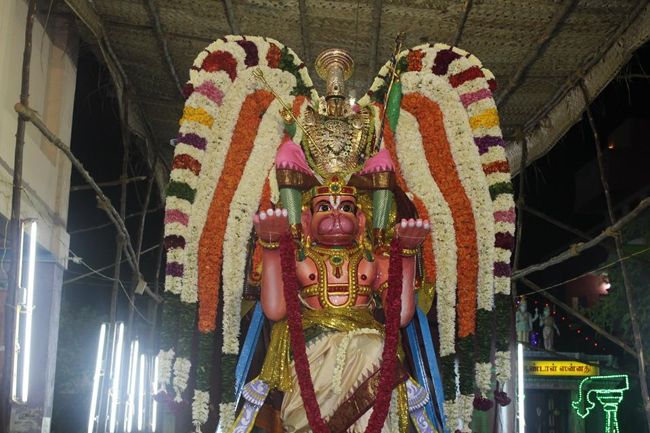 Pondicherry-Sri-Srinivasa-Perumal18