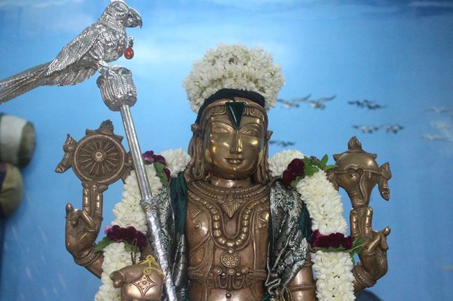 Pondicherry-Sri-Srinivasa-Perumal18