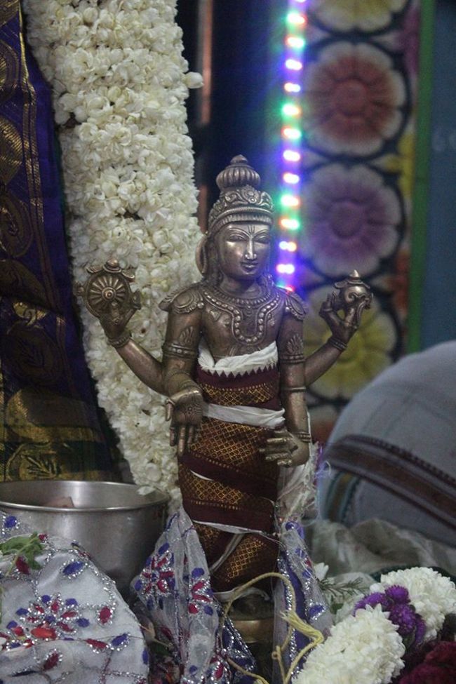 Pondicherry-Sri-Srinivasa-Perumal22