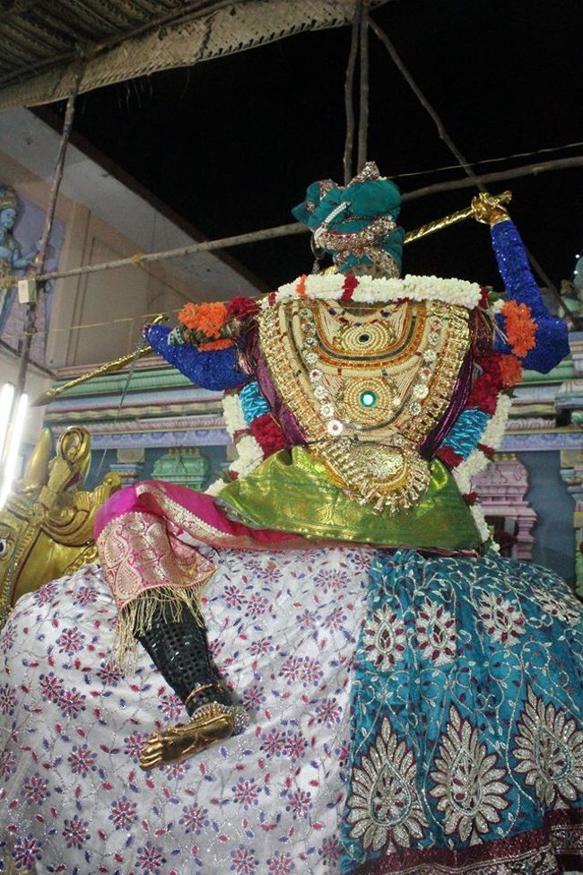 Pondicherry-Sri-Srinivasa-Perumal23