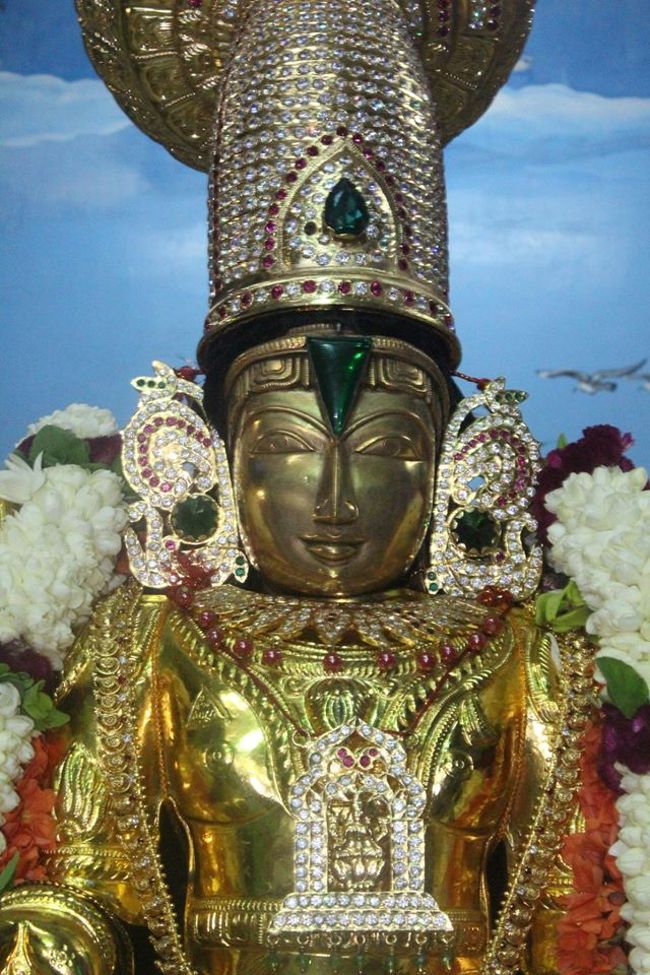 Pondicherry-Sri-Srinivasa-Perumal23