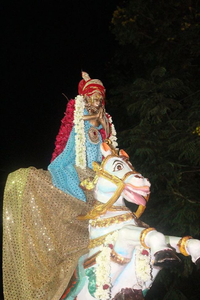 Pondicherry-Sri-Srinivasa-Perumal24