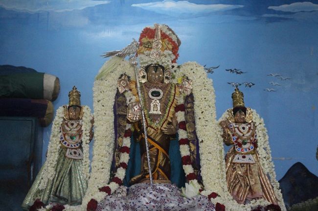 Pondicherry-Sri-Srinivasa-Perumal29