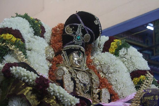 Pondicherry-Sri-Srinivasa-Perumal30