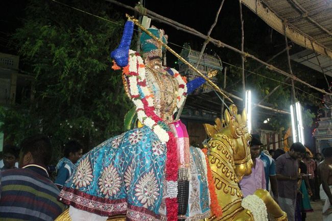 Pondicherry-Sri-Srinivasa-Perumal30