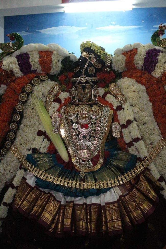 Pondicherry-Sri-Srinivasa-Perumal3