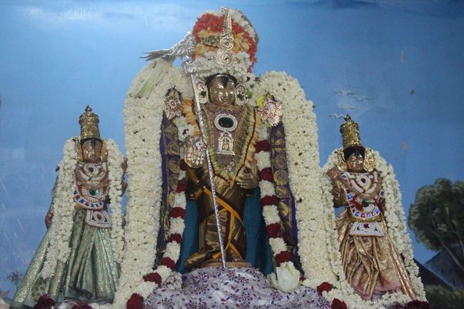 Pondicherry-Sri-Srinivasa-Perumal32