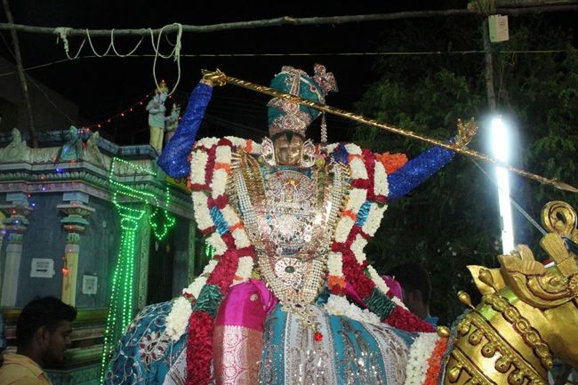 Pondicherry-Sri-Srinivasa-Perumal5