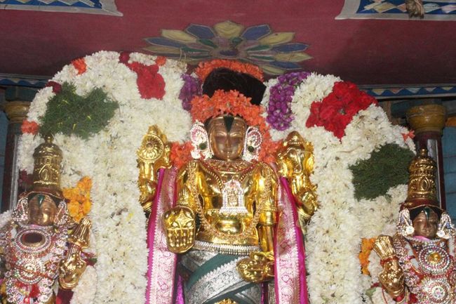 Pondicherry-Sri-Srinivasa-Perumal5