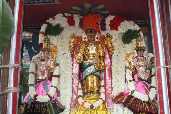 Pondicherry-Sri-Srinivasa-Perumal6