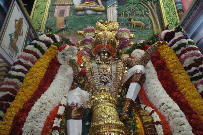 Pondicherry-Sri-Srinivasa-Perumal9