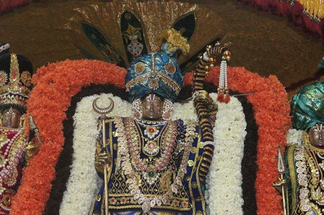 Pondicherry-Sri-Varadaraja-Perumal12