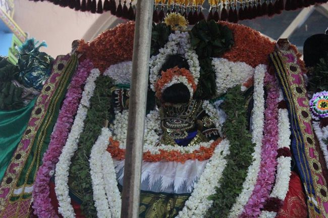 Pondicherry-Sri-Varadaraja-Perumal24