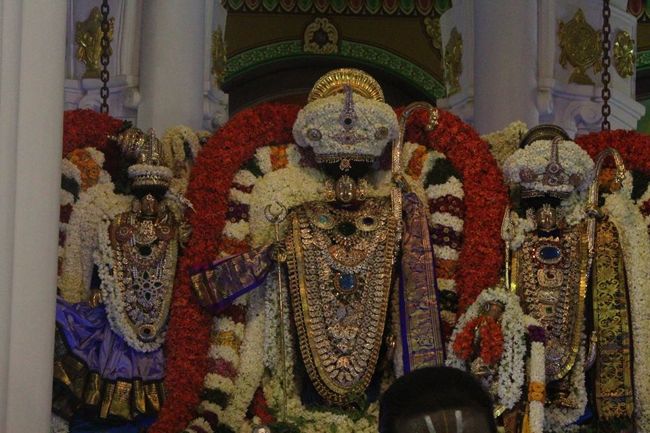 Pondicherry-Sri-Varadaraja-Perumal3